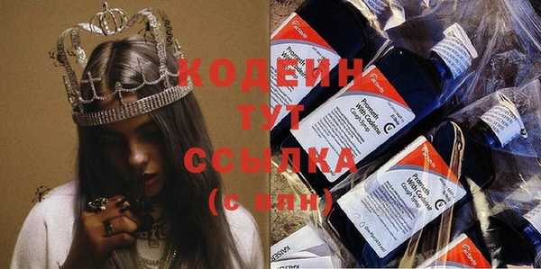 молекула духа Арсеньев