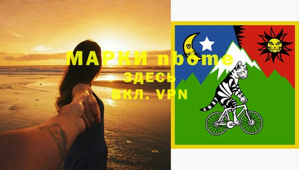 молекула духа Арсеньев