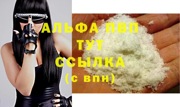 молекула духа Арсеньев