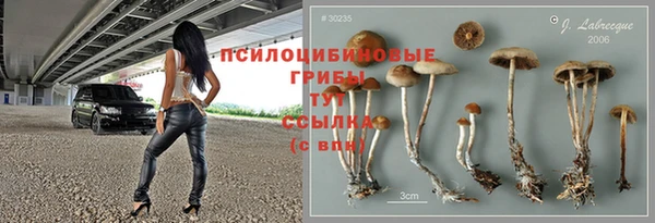 молекула духа Арсеньев